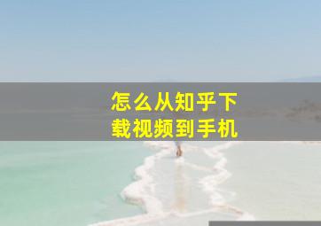 怎么从知乎下载视频到手机