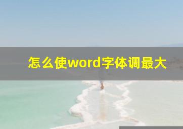 怎么使word字体调最大