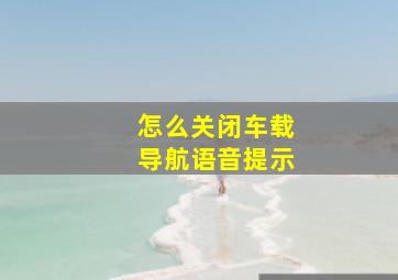 怎么关闭车载导航语音提示