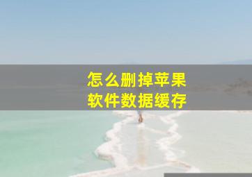 怎么删掉苹果软件数据缓存