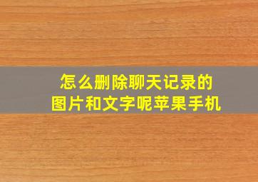 怎么删除聊天记录的图片和文字呢苹果手机