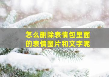 怎么删除表情包里面的表情图片和文字呢