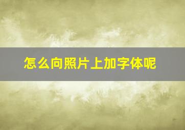 怎么向照片上加字体呢