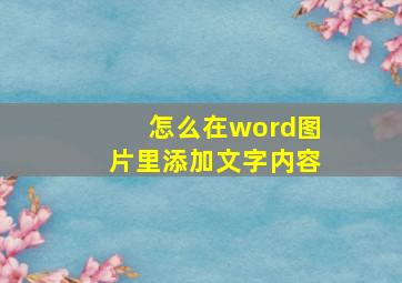 怎么在word图片里添加文字内容