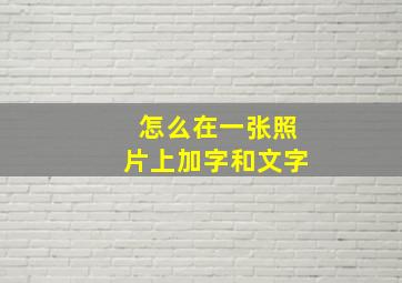 怎么在一张照片上加字和文字