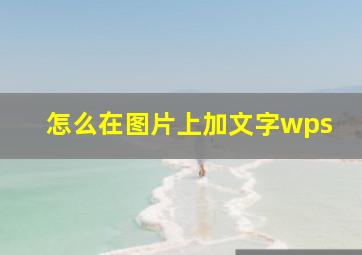 怎么在图片上加文字wps