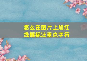 怎么在图片上加红线框标注重点字符