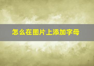 怎么在图片上添加字母