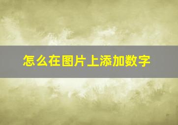 怎么在图片上添加数字