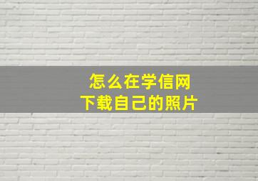 怎么在学信网下载自己的照片