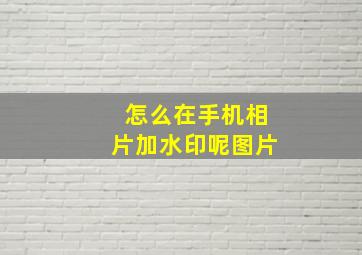 怎么在手机相片加水印呢图片