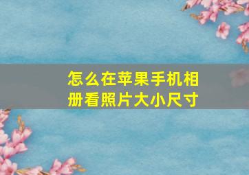 怎么在苹果手机相册看照片大小尺寸