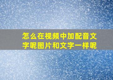 怎么在视频中加配音文字呢图片和文字一样呢