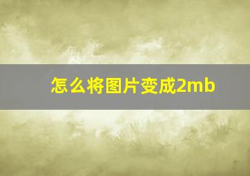 怎么将图片变成2mb