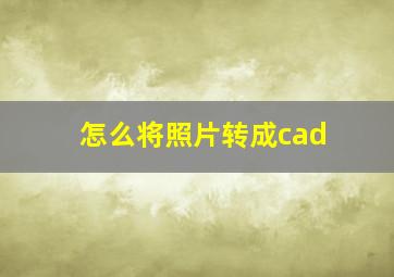 怎么将照片转成cad