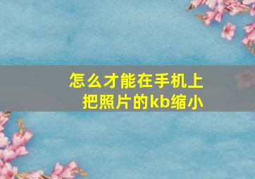 怎么才能在手机上把照片的kb缩小