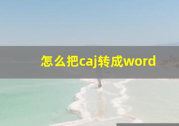 怎么把caj转成word