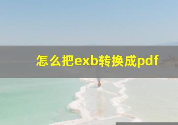 怎么把exb转换成pdf