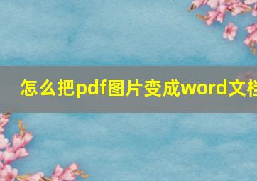 怎么把pdf图片变成word文档