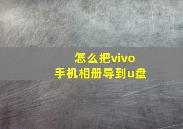 怎么把vivo手机相册导到u盘