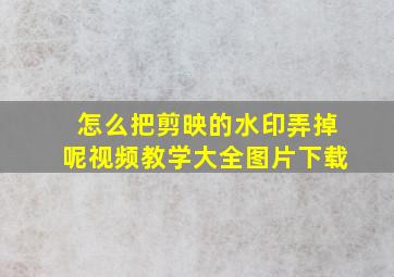 怎么把剪映的水印弄掉呢视频教学大全图片下载