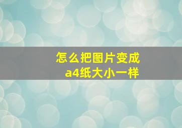 怎么把图片变成a4纸大小一样