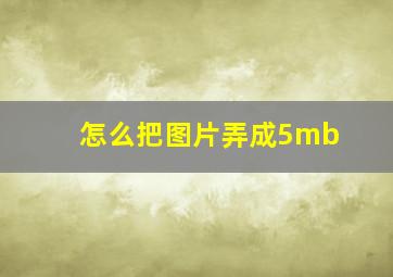 怎么把图片弄成5mb