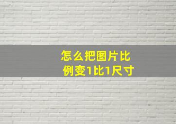 怎么把图片比例变1比1尺寸