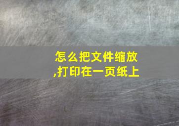 怎么把文件缩放,打印在一页纸上