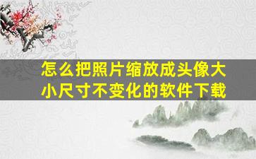 怎么把照片缩放成头像大小尺寸不变化的软件下载