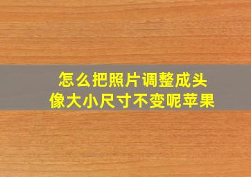 怎么把照片调整成头像大小尺寸不变呢苹果