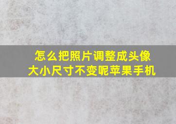 怎么把照片调整成头像大小尺寸不变呢苹果手机