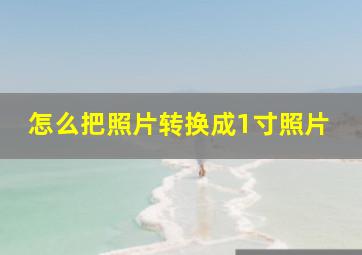 怎么把照片转换成1寸照片