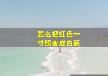 怎么把红色一寸照变成白底