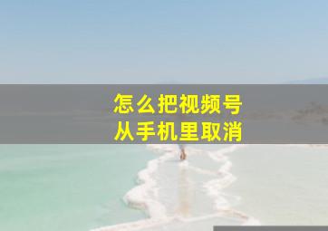 怎么把视频号从手机里取消