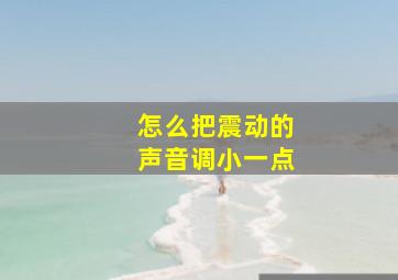 怎么把震动的声音调小一点