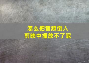 怎么把音频倒入剪映中播放不了呢