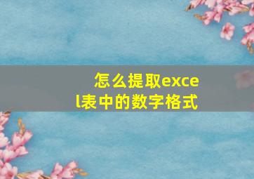 怎么提取excel表中的数字格式