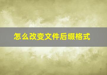 怎么改变文件后缀格式