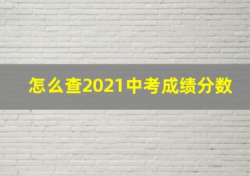 怎么查2021中考成绩分数