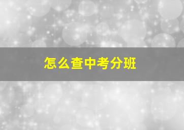 怎么查中考分班