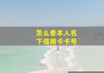 怎么查本人名下信用卡卡号