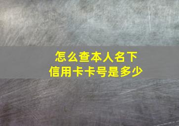 怎么查本人名下信用卡卡号是多少