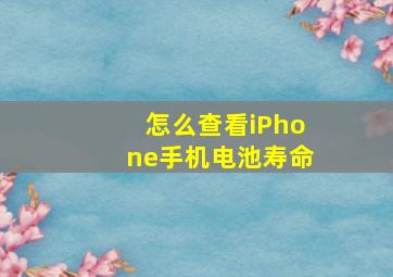 怎么查看iPhone手机电池寿命