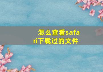 怎么查看safari下载过的文件