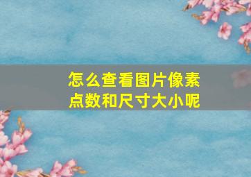 怎么查看图片像素点数和尺寸大小呢