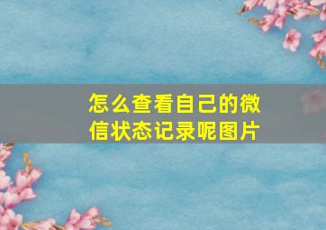 怎么查看自己的微信状态记录呢图片