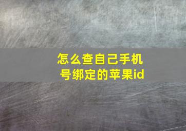 怎么查自己手机号绑定的苹果id