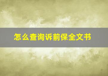 怎么查询诉前保全文书