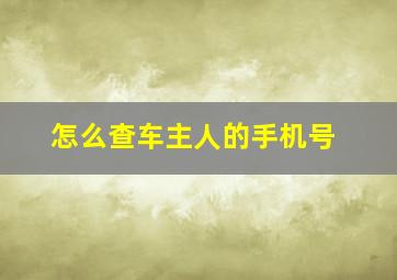 怎么查车主人的手机号